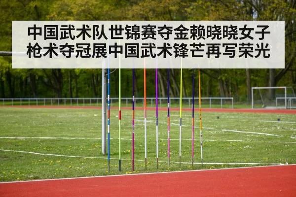 中国武术队世锦赛夺金赖晓晓女子枪术夺冠展中国武术锋芒再写荣光